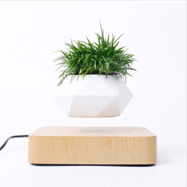 Levitating Air Bonsai Pot - Don't Know What To Gift