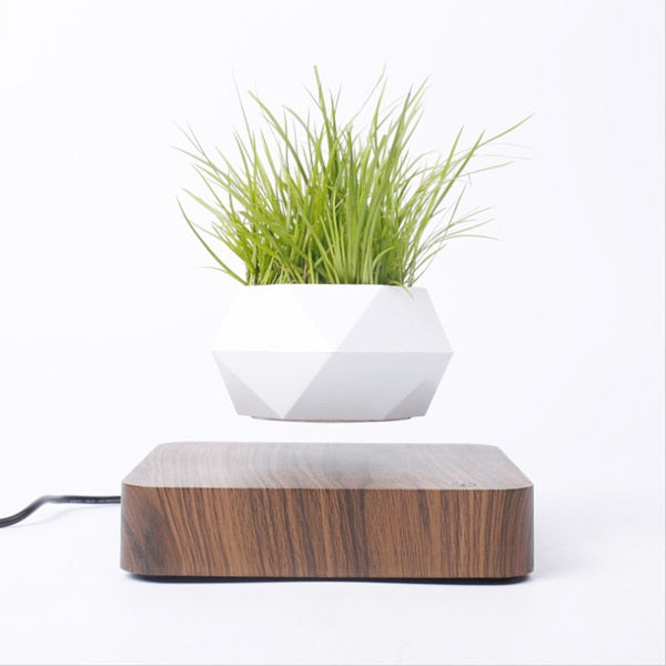 Levitating Air Bonsai Pot - Don't Know What To Gift