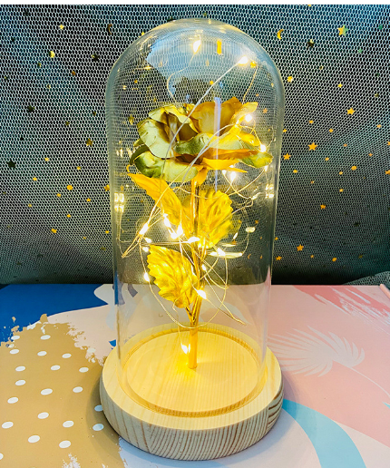 Galaxy Rose Eternal Lamp - Don't Know What To Gift