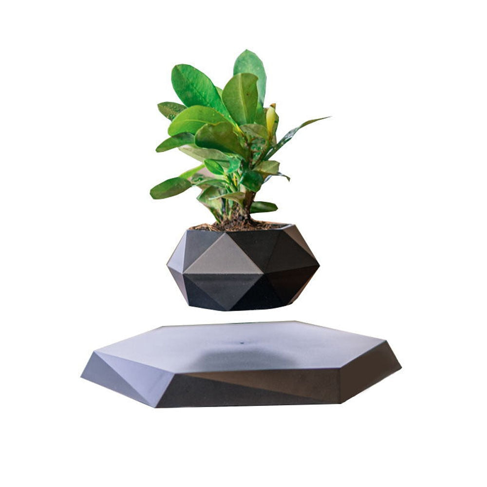 Levitating Air Bonsai Pot - Don't Know What To Gift