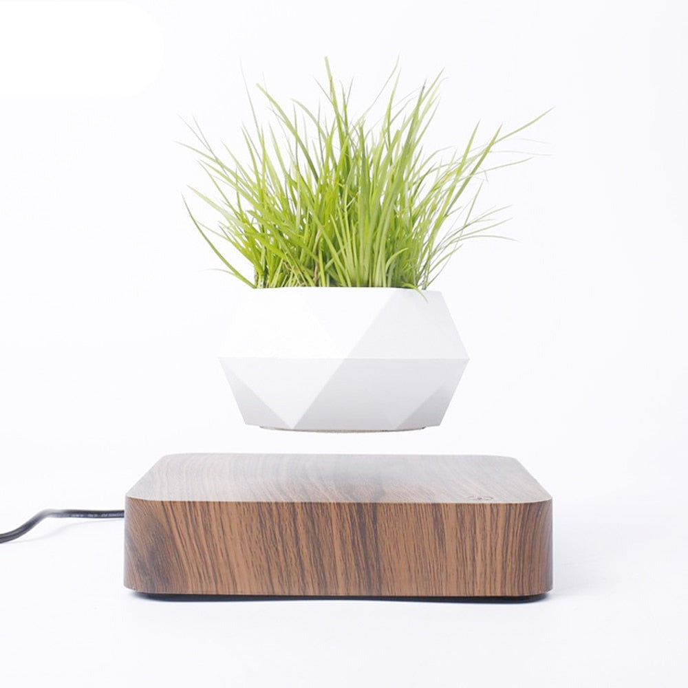 Levitating Air Bonsai Pot - Don't Know What To Gift