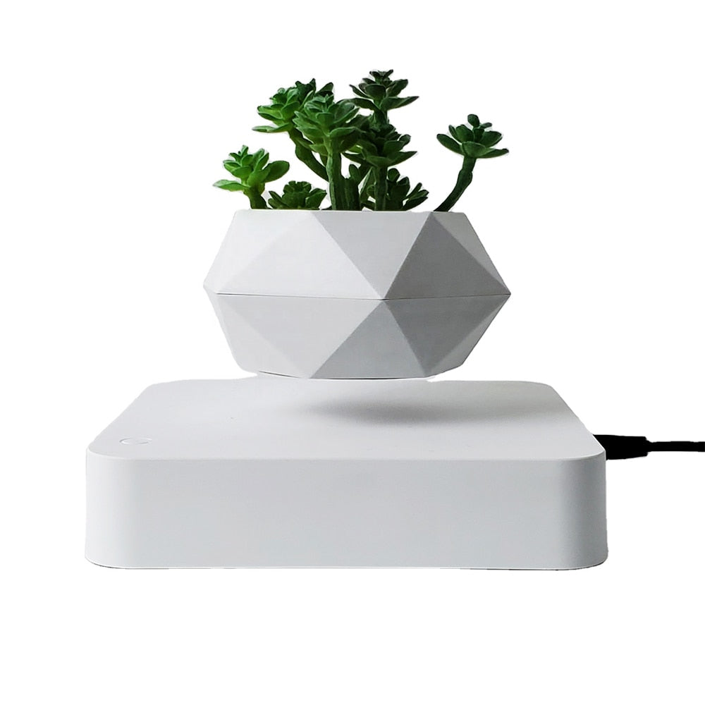 Levitating Air Bonsai Pot - Don't Know What To Gift