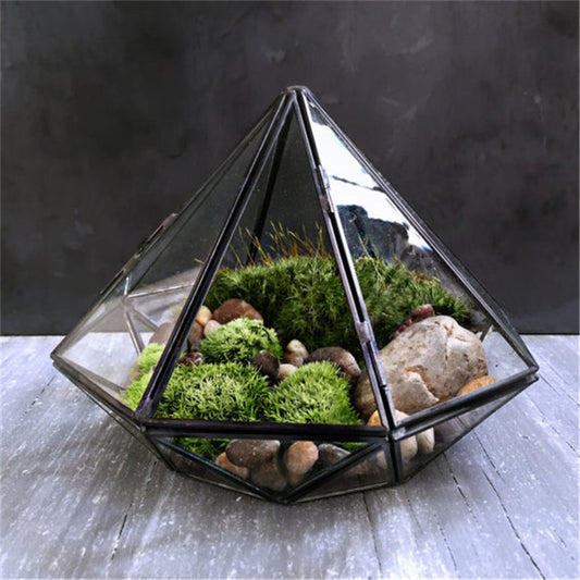 Glass Terrarium - Don't Know What To Gift