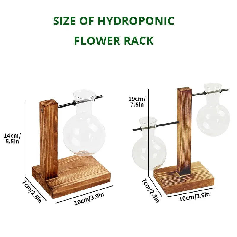 Transparent Bulb Vase with Wooden Stand Desktop Glass Planter for Hydroponics Plants Coffee Shop Room Decor