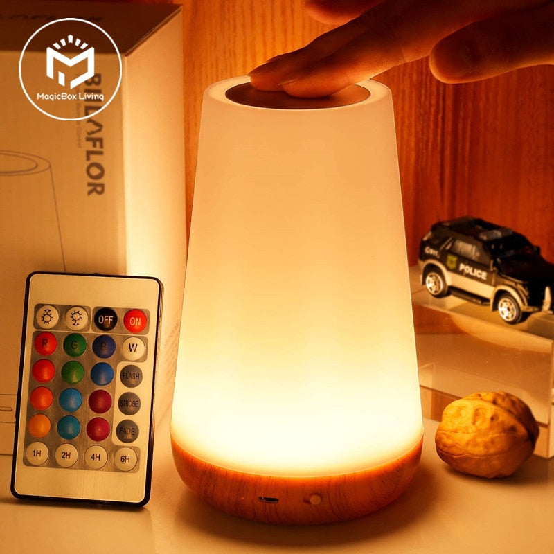 13 Color Changing Night Light Lamp Portable - Don't Know What To Gift