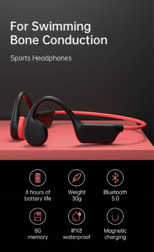 EchoEffex Earphones - Don't Know What To Gift