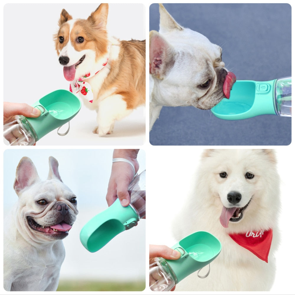 Dogs Drinking Bottle - Don't Know What To Gift