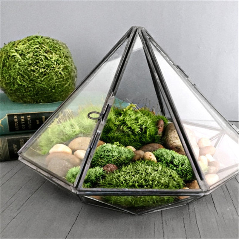 Glass Terrarium - Don't Know What To Gift