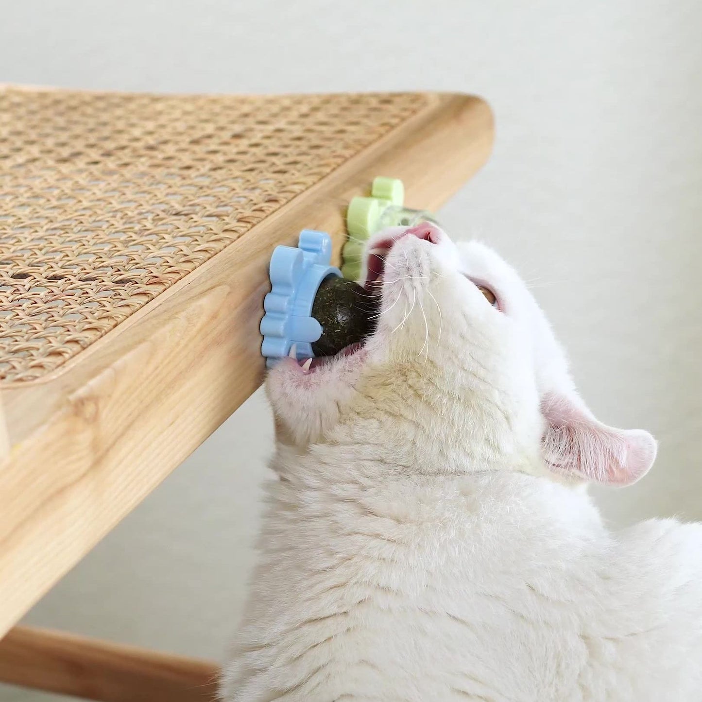 Healthy Cat Catnip Toys Snack - Don't Know What To Gift